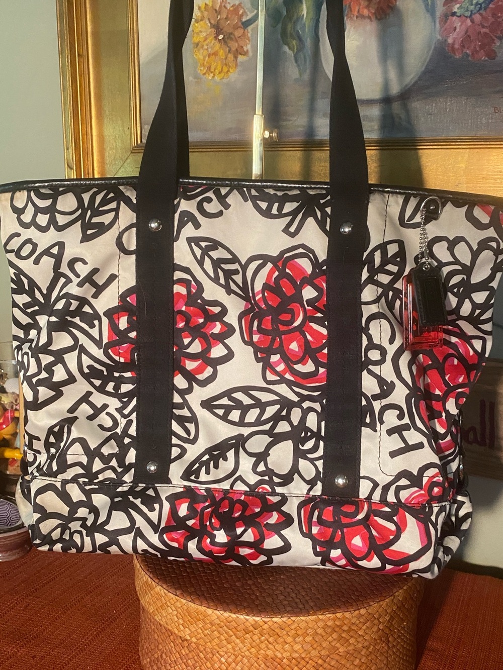 Coach Poppy Daisy Floral Graffiti Tote Shoulder Crossbody Office School Bag 2011
